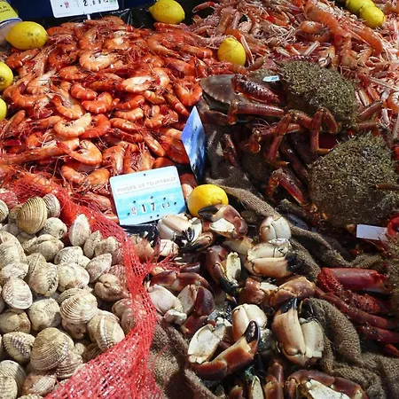 Hébergement de vacances Semi-detached House, Rieux Rieux (Seine-Maritime)