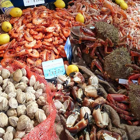 Semi-detached House, Rieux *