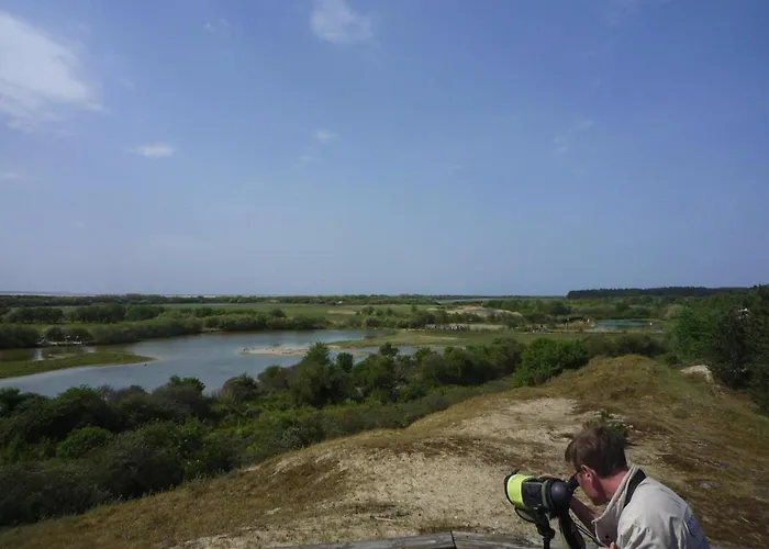 Semi-detached House, Rieux